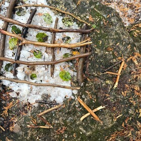 les élèves de la classe de Madame Eliana (4e année) ont pris l’air pour vivre les mathématiques en pleine nature! 